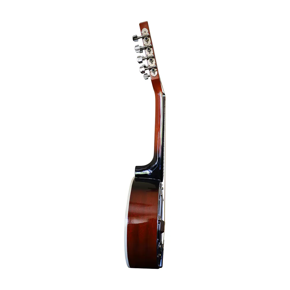 Banjo 8 Cuerdas BNJ-8STG Bilbao 5