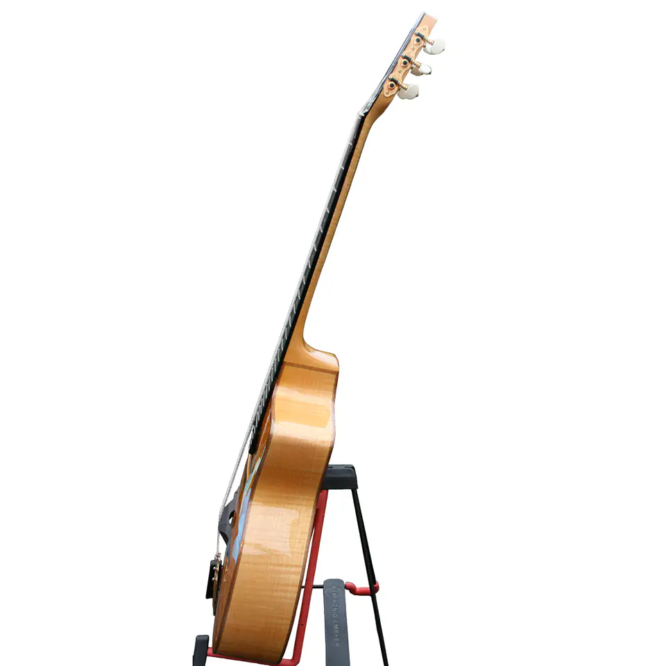 Guitarra Gypsy Jazz Profesional Gitane DG-370 4