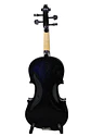 Violin Negro 1/2 Liv-27-Bk Livorno Open Box - Miniatura 2