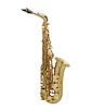 Saxo Alto Brushed SA80 II Selmer - Miniatura 1