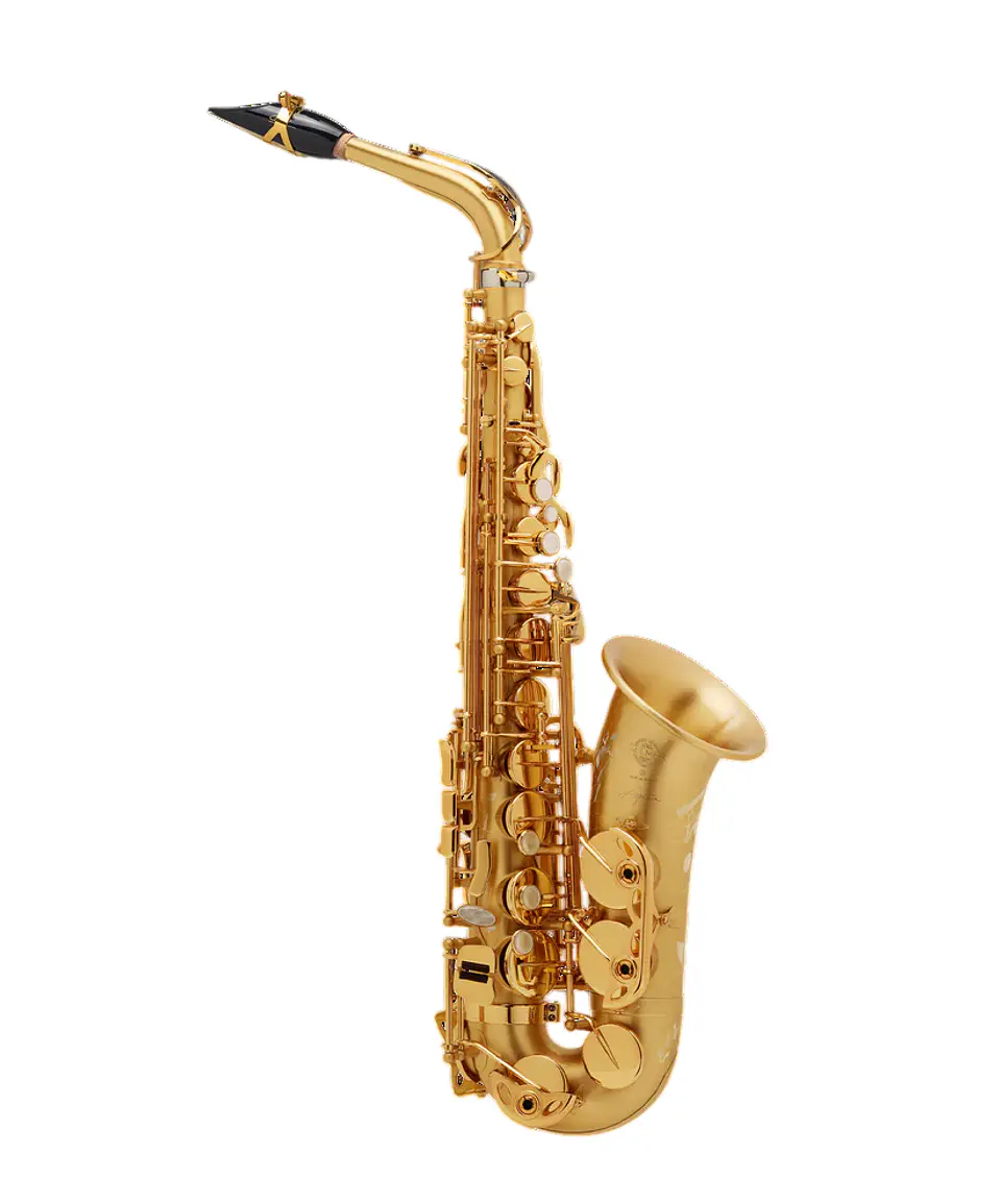 Saxo Alto Signature Brushed Selmer 1