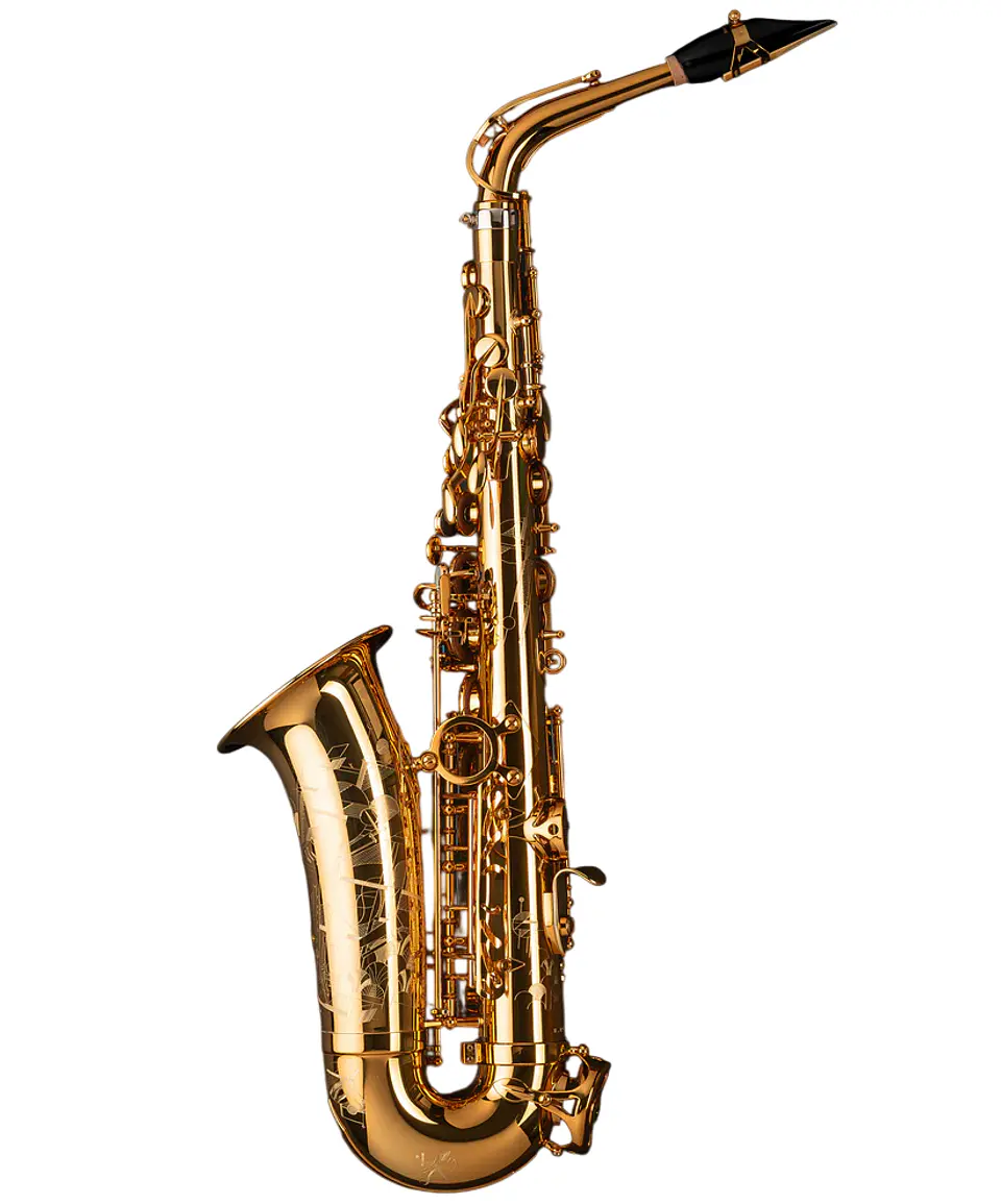 Saxo Alto Signature Brushed Selmer 2