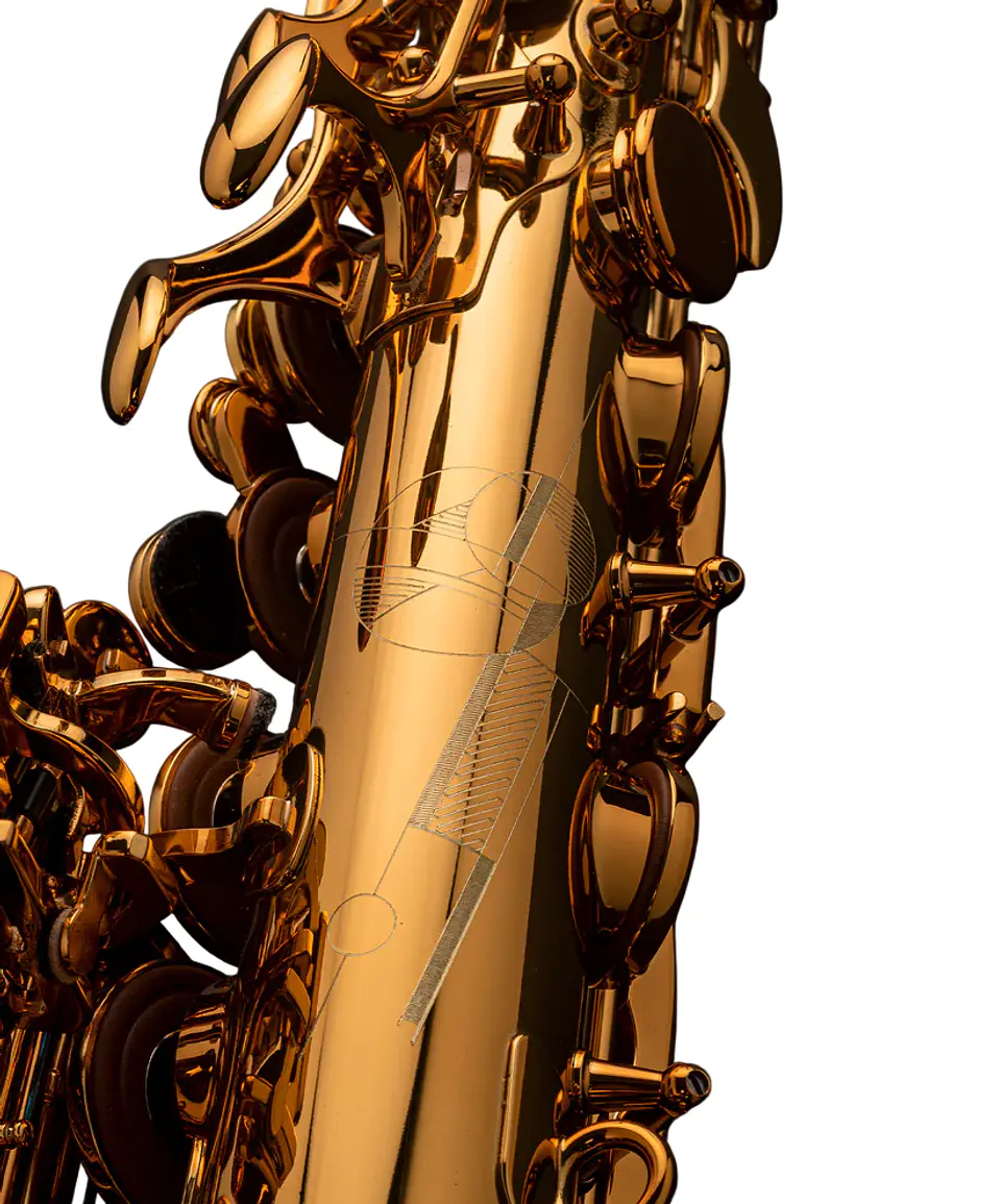 Saxo Alto Signature Brushed Selmer 5