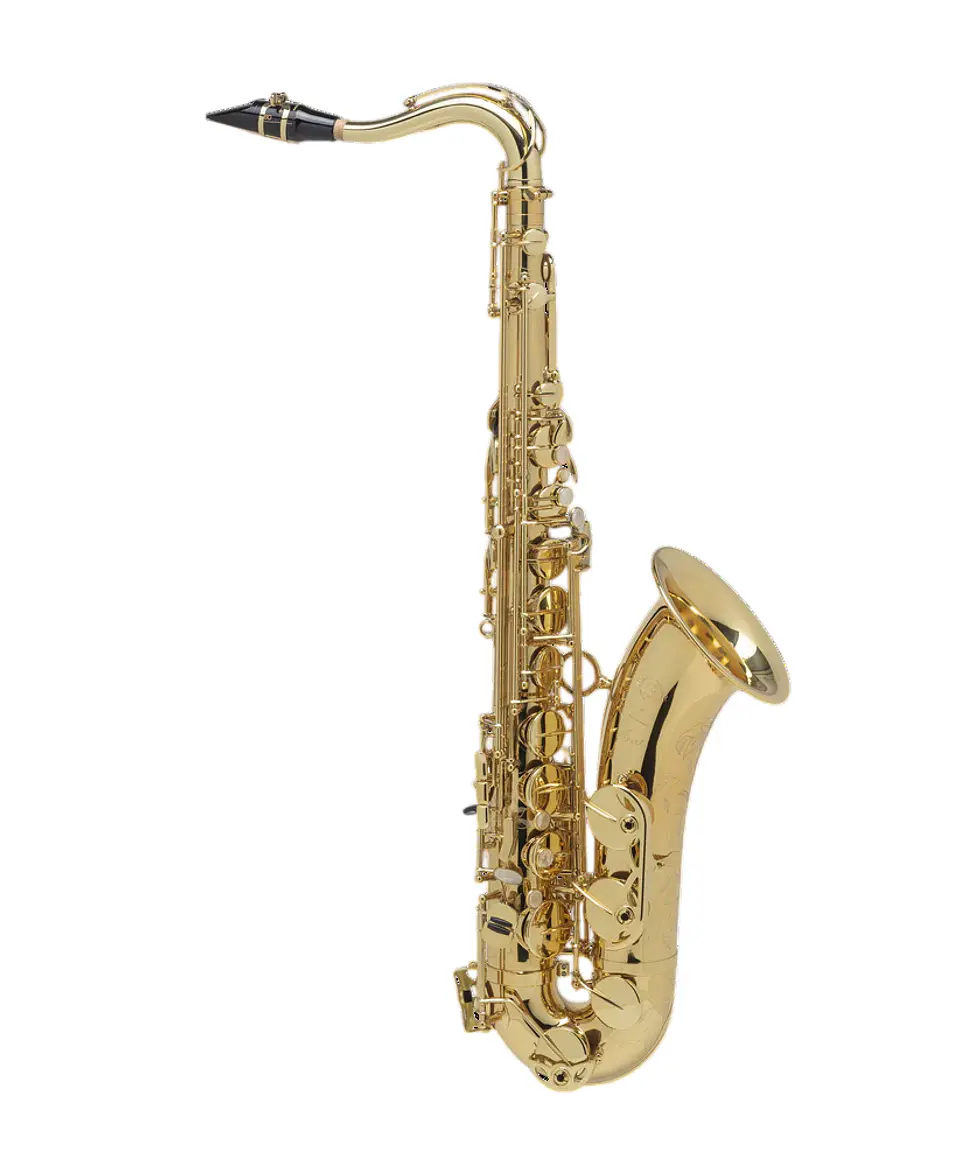 Saxo Tenor Axos Engraved Selmer 1