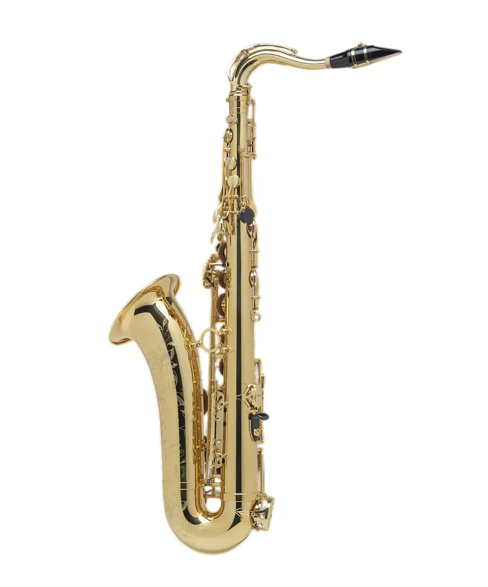 Saxo Tenor Axos Engraved Selmer 2