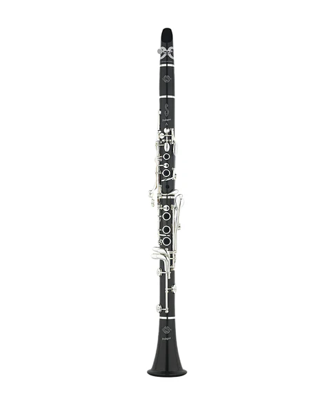Clarinete Prologue Delta 17 BB Selmer-Paris