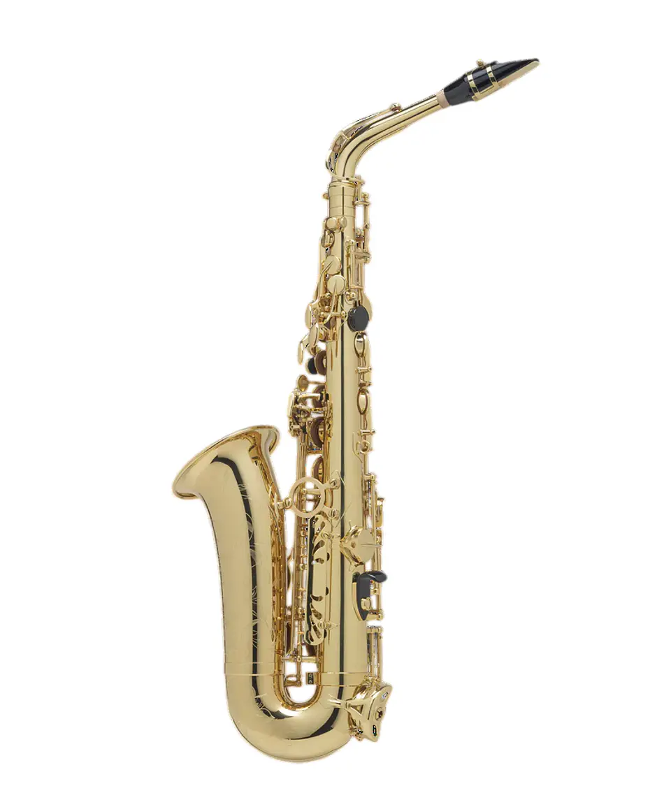 Saxo Alto Axos Gold Engraved Selmer 2