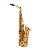 Saxo Alto Lacquered SA80 II Selmer - Miniatura 1