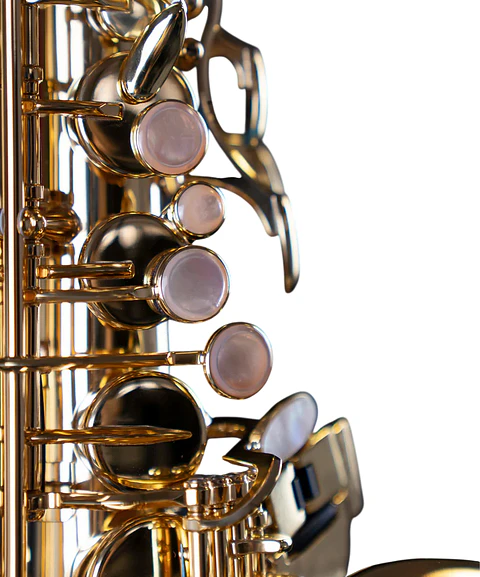 Saxo Alto Lacquered SA80 II Selmer-Paris