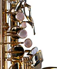 Saxo Alto Lacquered SA80 II Selmer - Miniatura 2