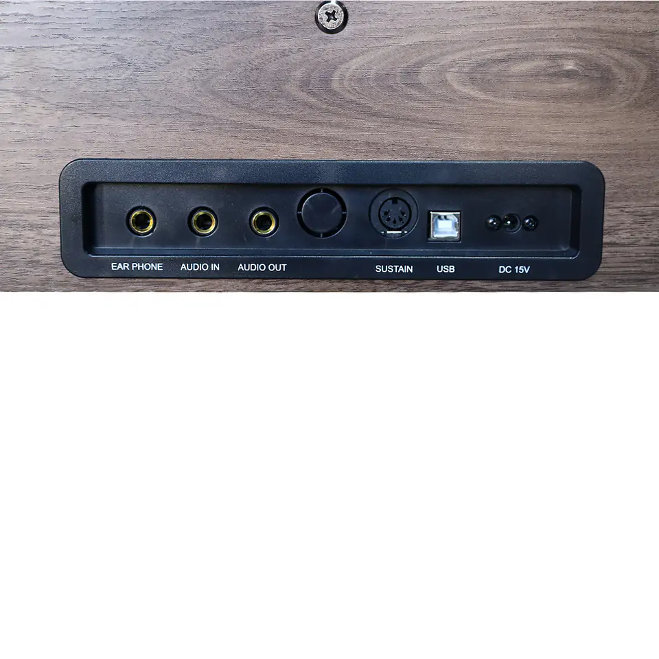 Piano Digital Zim-900-Nat Zimmer 5