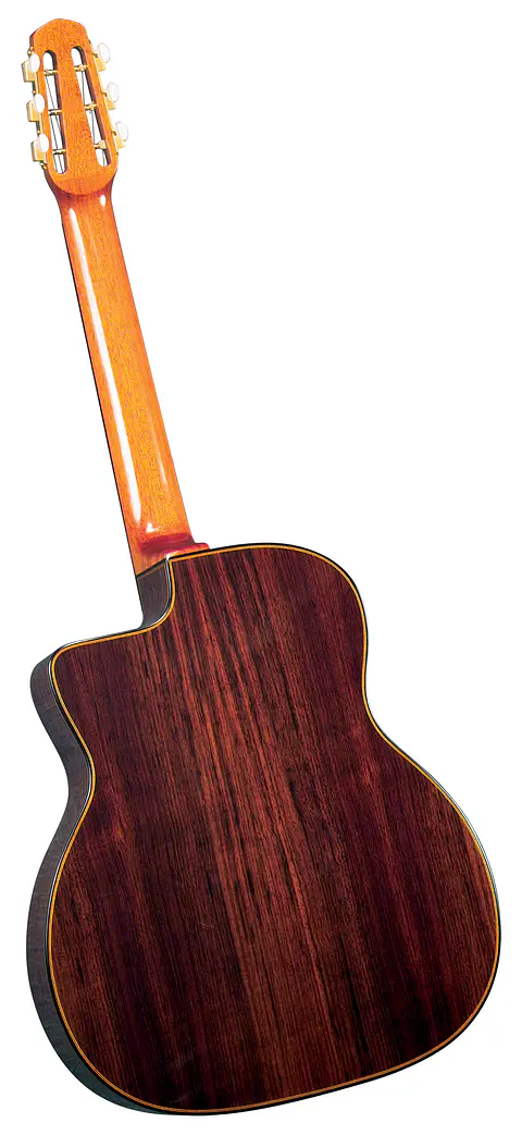 Guitarra Gypsy Jazz Profesional Gitane D-500