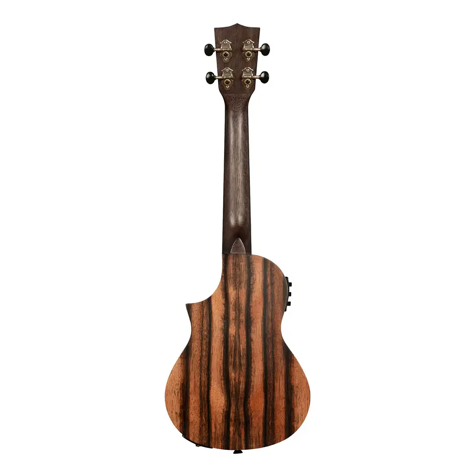 Ukulele Concierto KA-AM-C-CE Kala 2