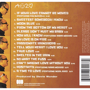 STEVIE WONDER - A TIME 2 LOVE / CD USADO