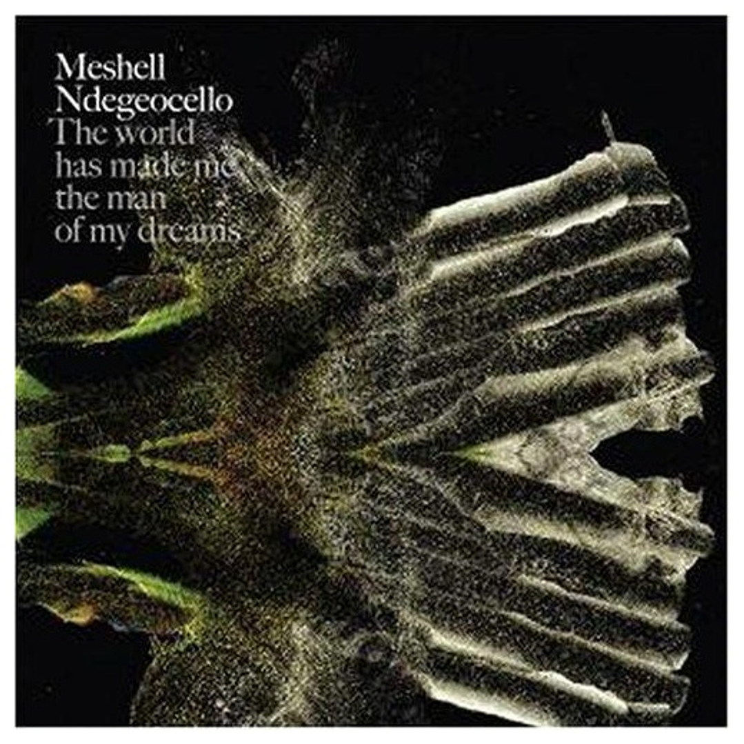 MESHELL NDEGEOCELLO  - THE WORLD HAS MADE ME THE MAN OF MY DREAMS  / CD USADO 1
