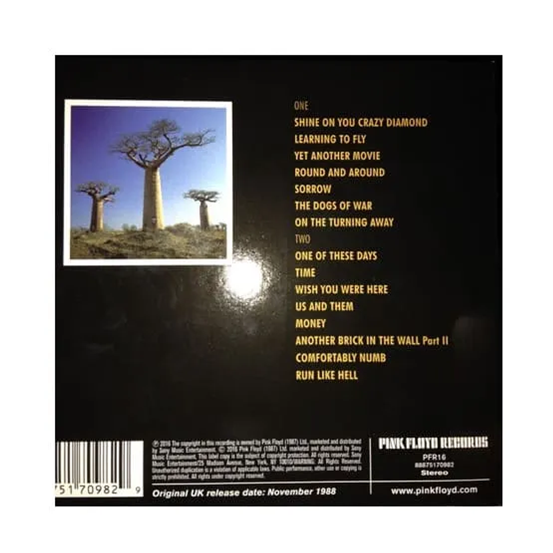 PINK FLOYD - DELICATE SOUND OF THUNDER (2CD) / CD 3