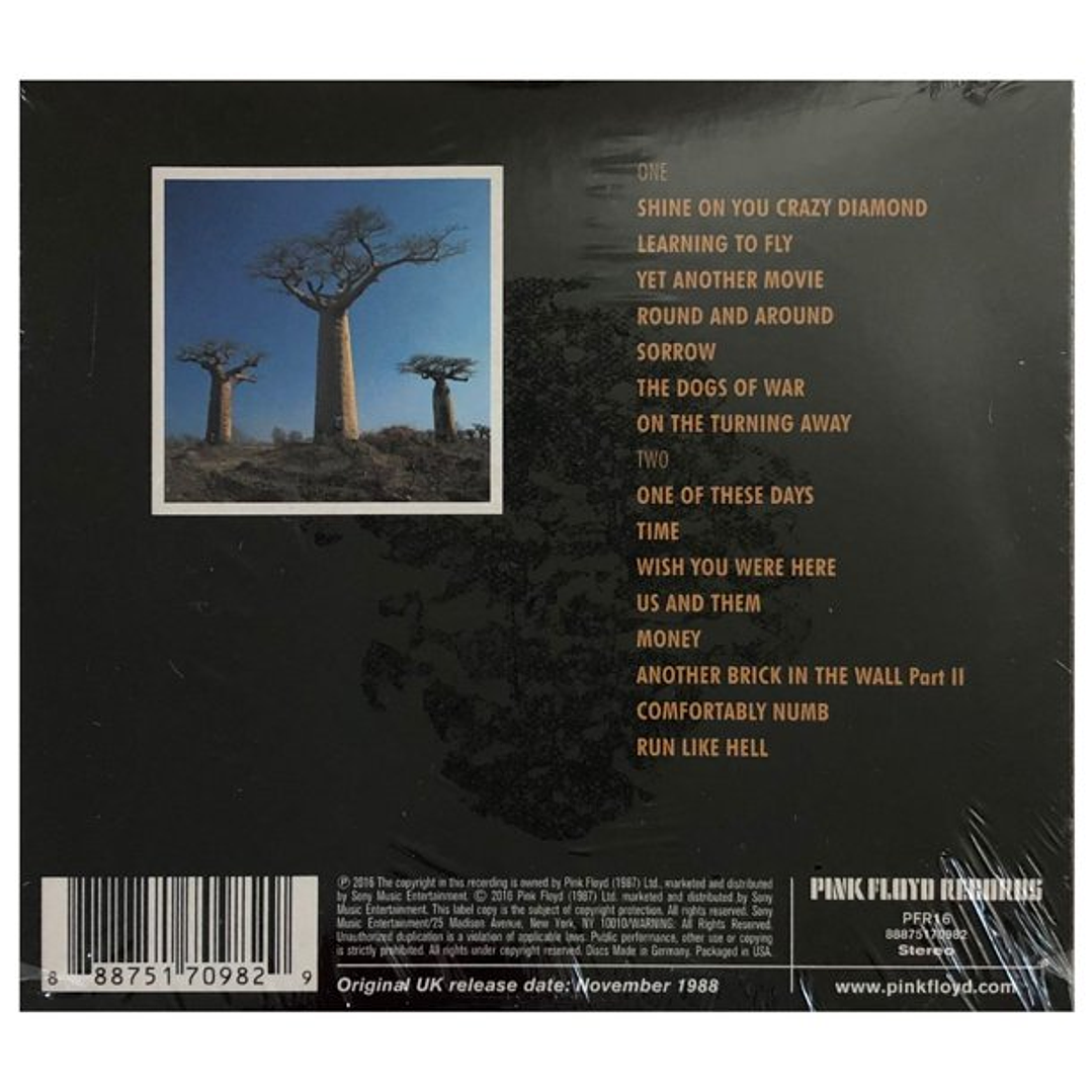 PINK FLOYD - DELICATE SOUND OF THUNDER (2CD) / CD 2