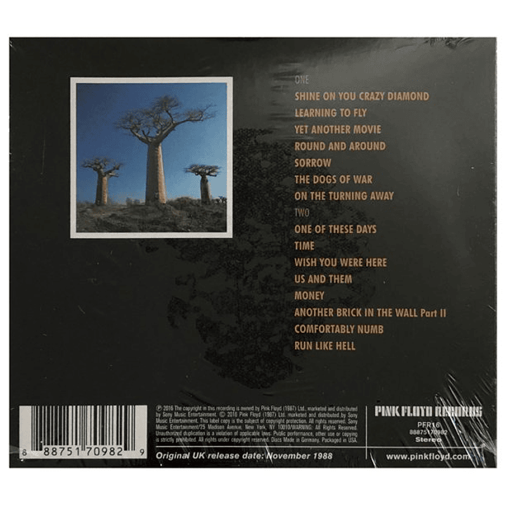 PINK FLOYD - DELICATE SOUND OF THUNDER (2CD) / CD 2