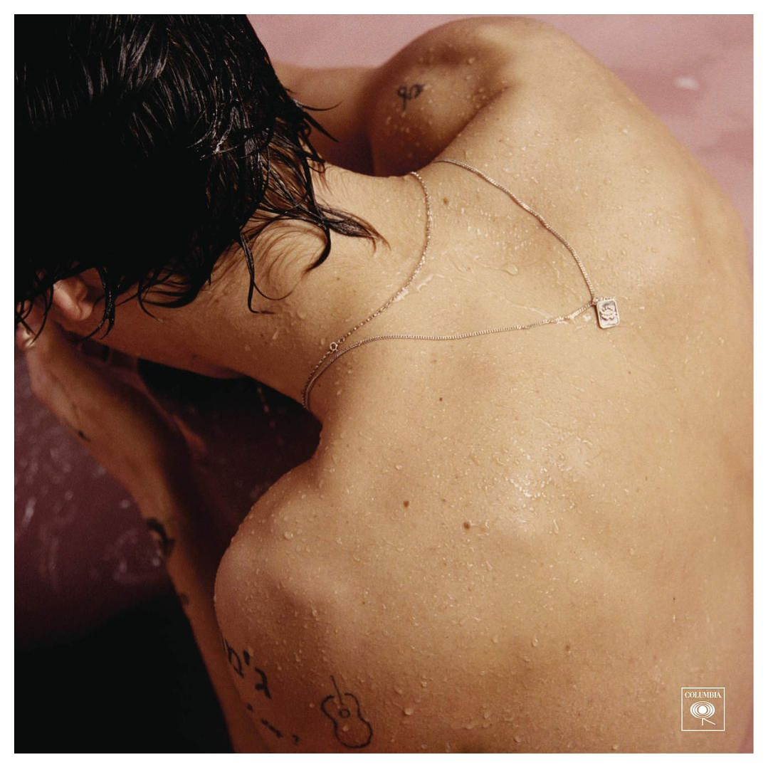 HARRY STYLES - HARRY STYLES (GATEFOLD) (ABIERTO) / VINILO USADO 1