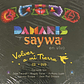 DAMARIS Y SAYWA - EN VIVO VOLVER A MI TIERRA (CD+DVD) / CD - Miniatura 1