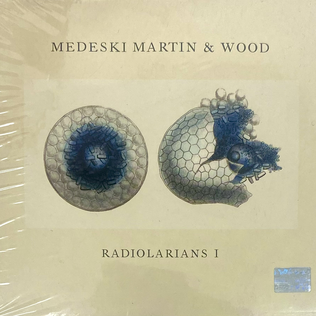 MEDESKI MARTIN & WOOD - RADIOLARIANS I / CD 1