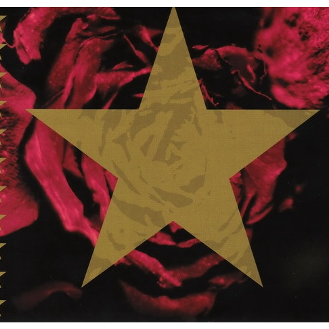 ROXETTE - HITS: A COLLECTION OF THEIR 20 GREATEST SONGS / CD 5