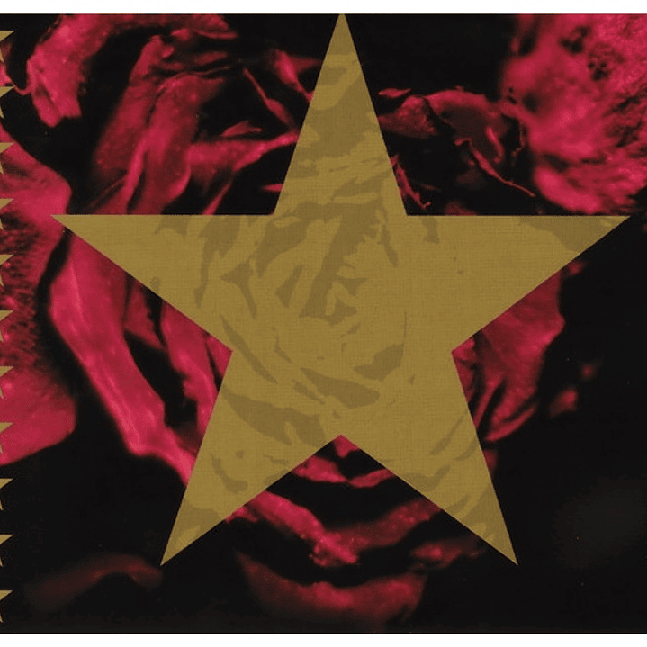 ROXETTE - HITS: A COLLECTION OF THEIR 20 GREATEST SONGS / CD 5