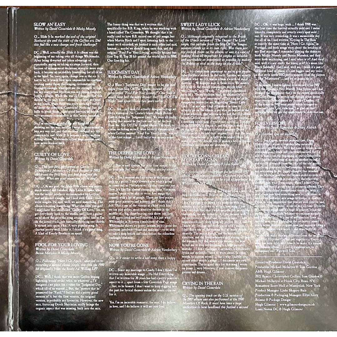 WHITESNAKE - GREATEST HITS (2LP) / VINILO 6