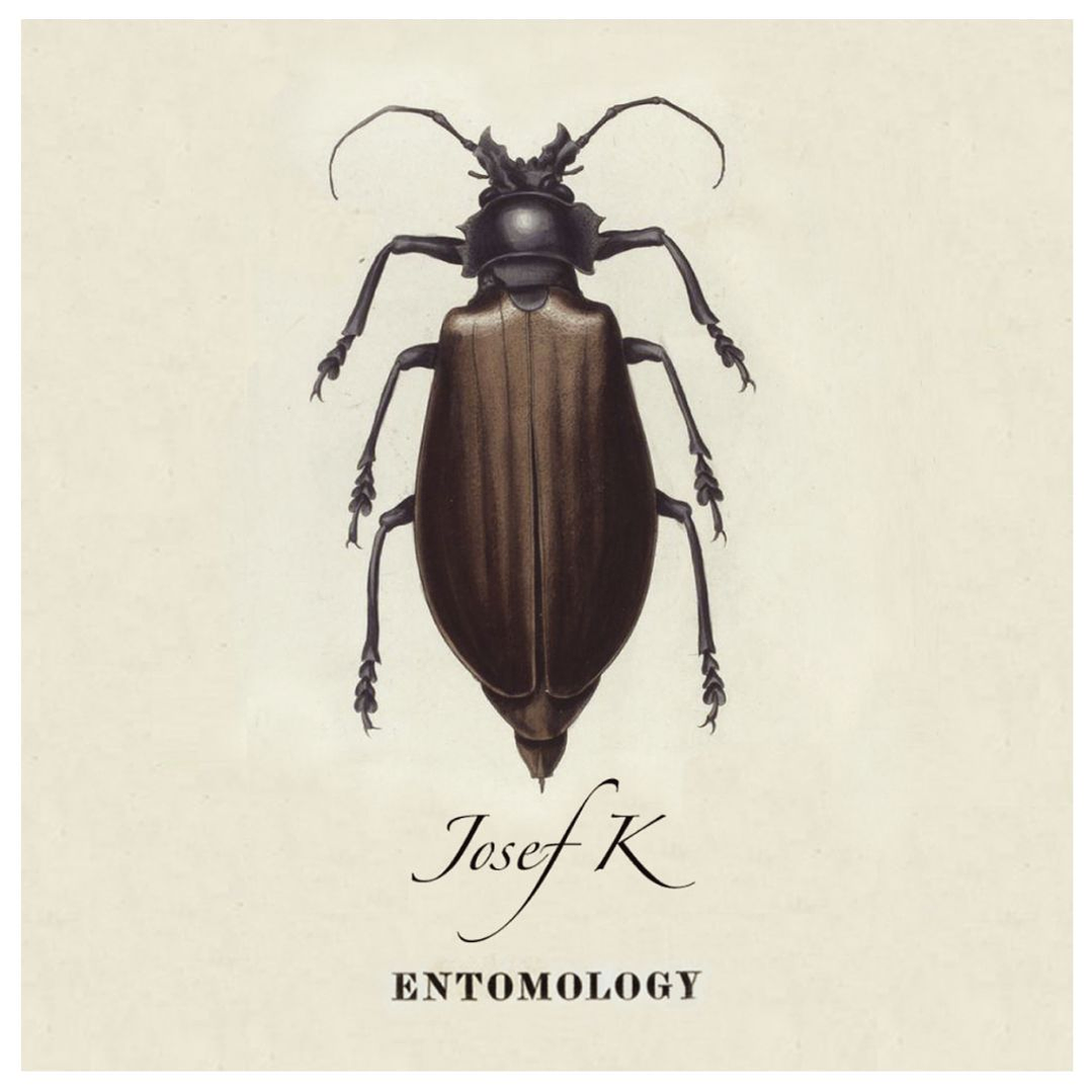 JOSEF K - ENTOMOLOGY (TAPA DURA) / CD USADO 1