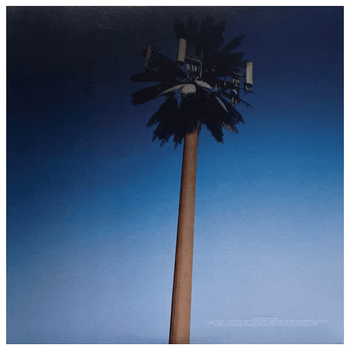 MILEY CYRUS - ENDLESS SUMMER VACATION / VINILO 3