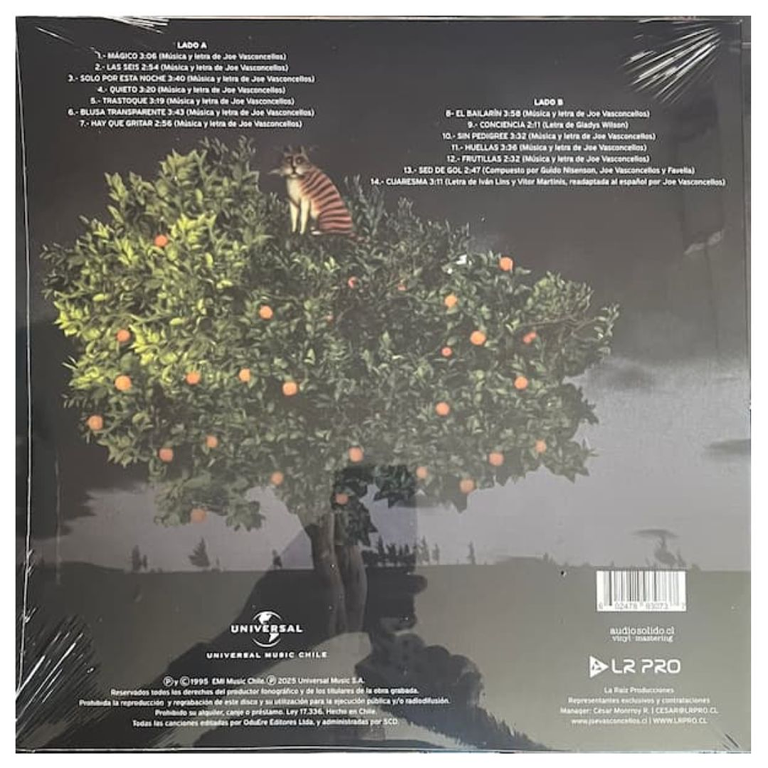 JOE VASCONCELLOS - TOQUE 30 AÑOS  VINILO 2