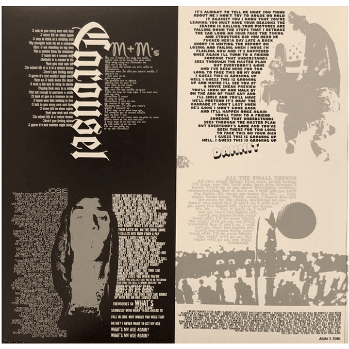 BLINK-182 - GREATEST HITS (2LP) / VINILO 4