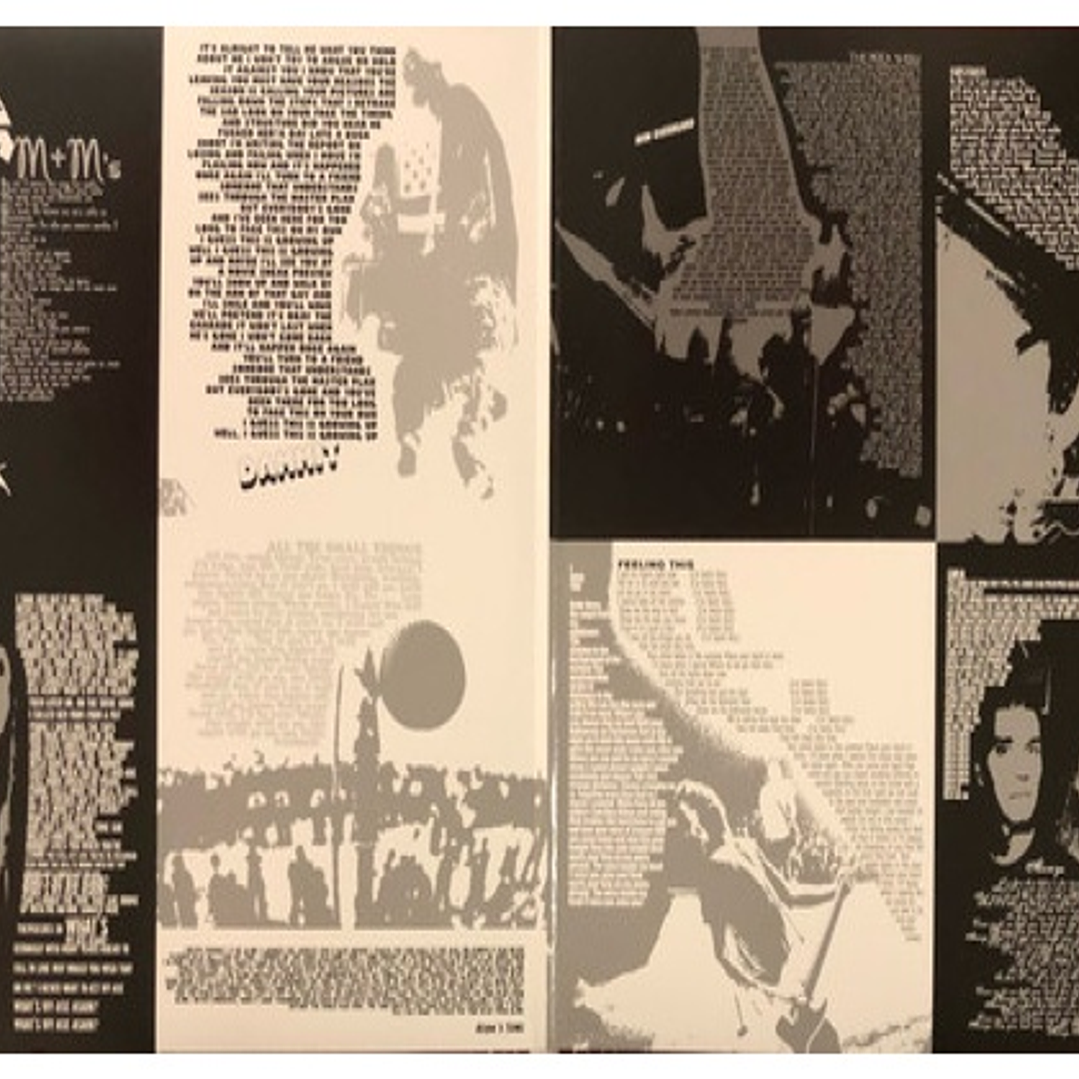 BLINK-182 - GREATEST HITS (2LP) / VINILO 6