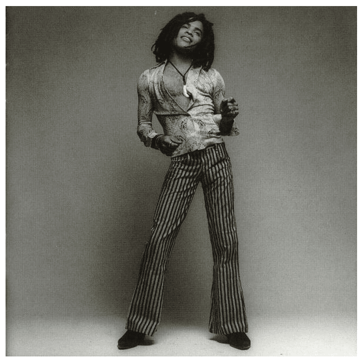 LENNY KRAVITZ - GREATEST HITS / CD 6