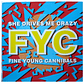 FINE YOUNG CANNIBALS - SHE DRIVES ME CRAZY / 12