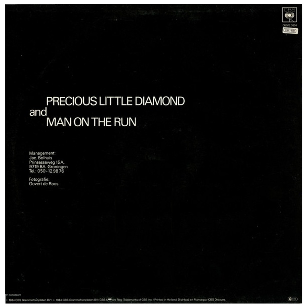 FOX THE FOX - PRECIOUS LITTLE DIAMOND (SPECIAL REMIX) / 12