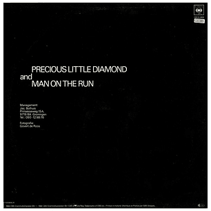 FOX THE FOX - PRECIOUS LITTLE DIAMOND (SPECIAL REMIX) / 12