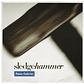 PETER GABRIEL - SLEDGEHAMMER / 12