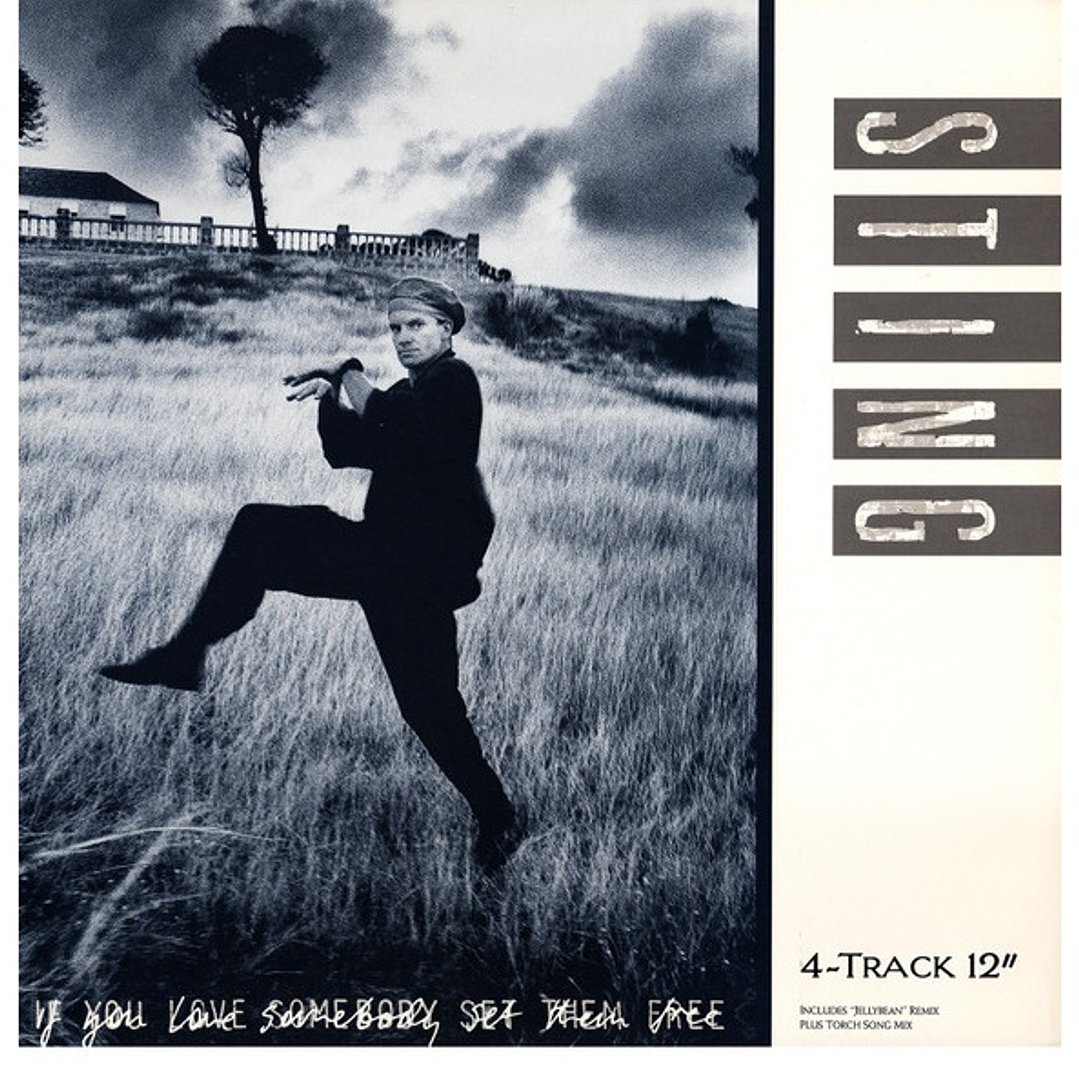 STING - IF YOU LOVE SOMEBODY SET THEM FREE / 12