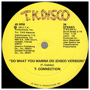 T-CONNECTION - DO WHAT YOU WANNA DO / 12