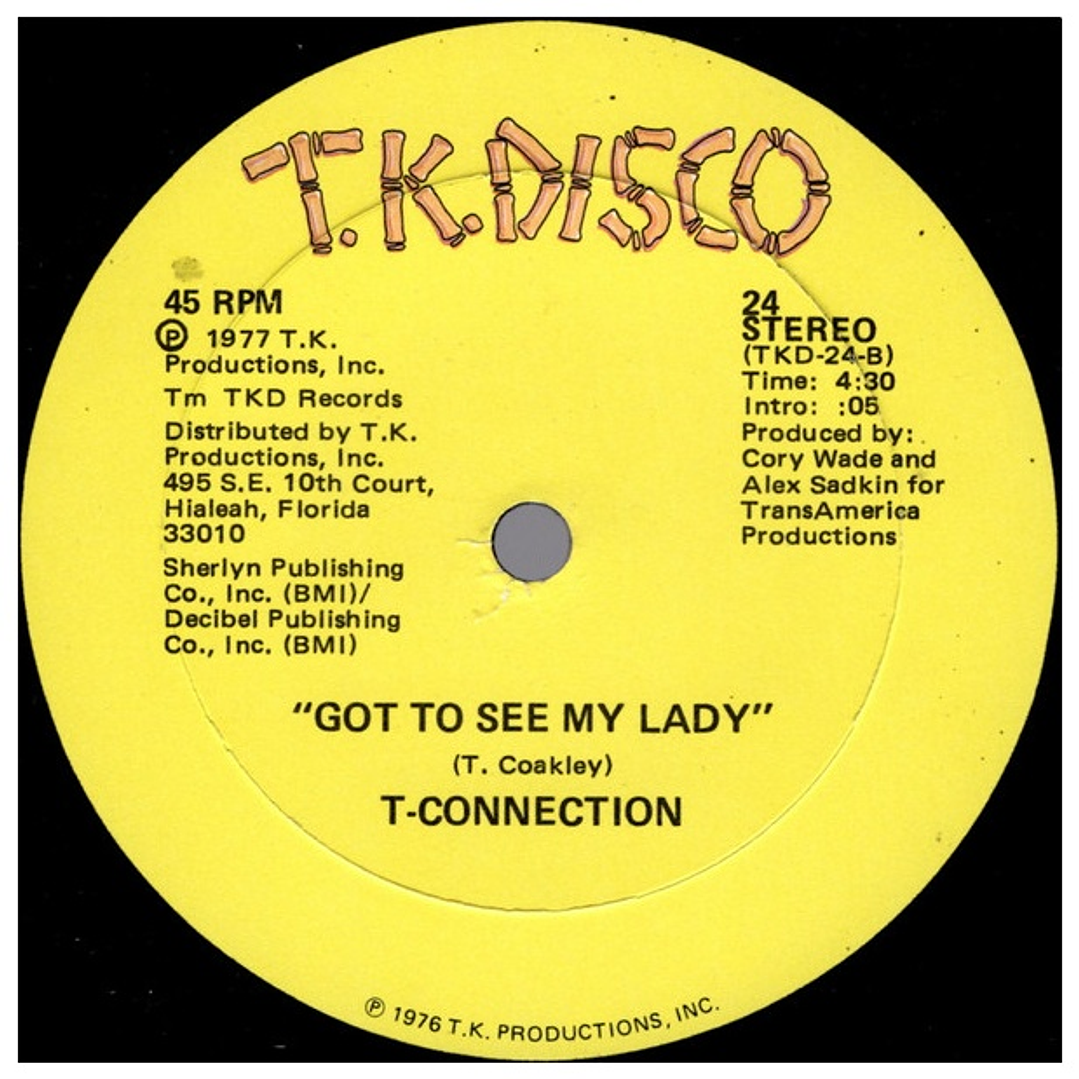 T-CONNECTION - DO WHAT YOU WANNA DO / 12