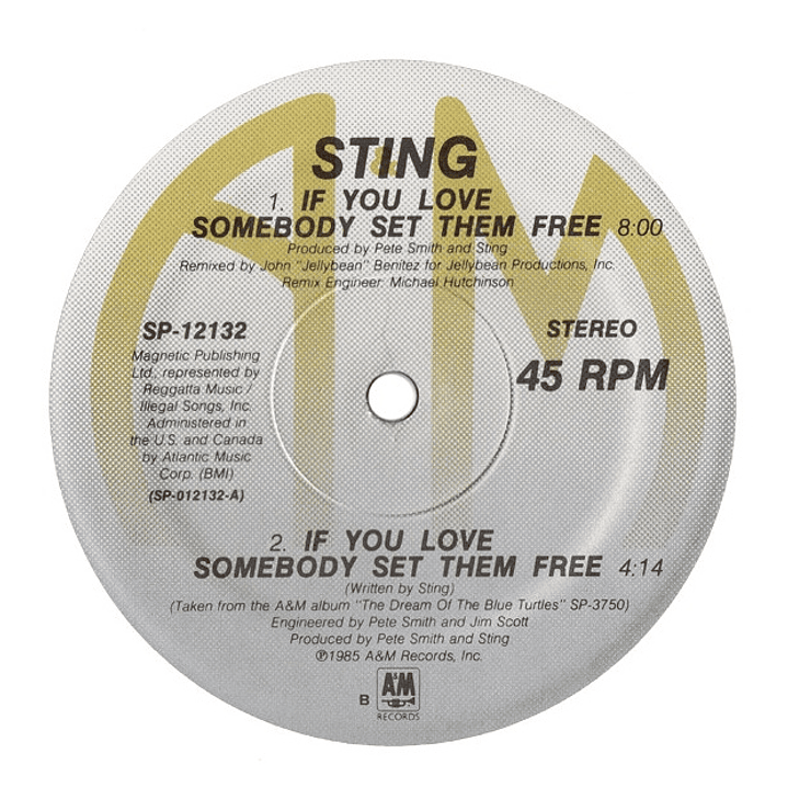 STING - IF YOU LOVE SOMEBODY SET THEM FREE / 12