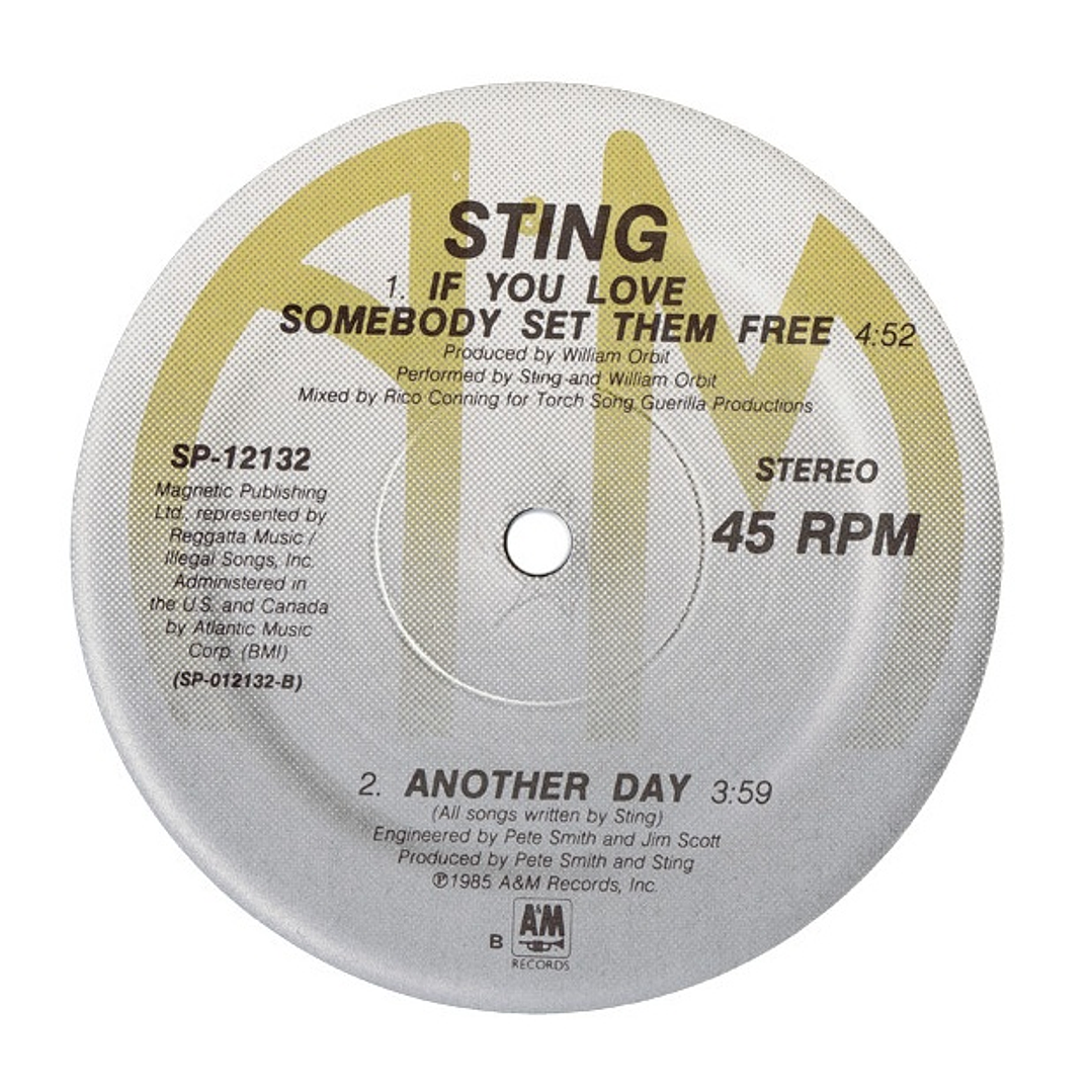 STING - IF YOU LOVE SOMEBODY SET THEM FREE / 12