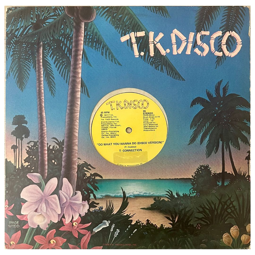 T-CONNECTION - DO WHAT YOU WANNA DO / 12