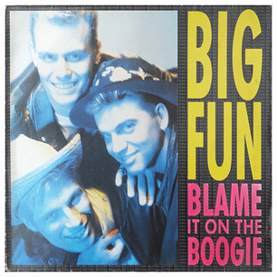 BIG FUN - BLAME IT ON THE BOOGIE / 12