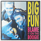 BIG FUN - BLAME IT ON THE BOOGIE / 12