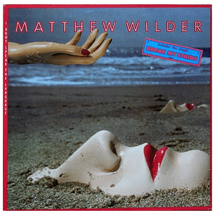 MATTHEW WILDER - I DON'T SPEAK THE LANGUAGE / VINILO USADO