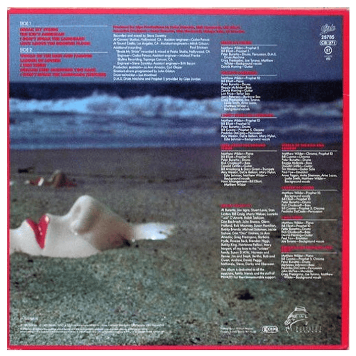 MATTHEW WILDER - I DON'T SPEAK THE LANGUAGE / VINILO USADO 2