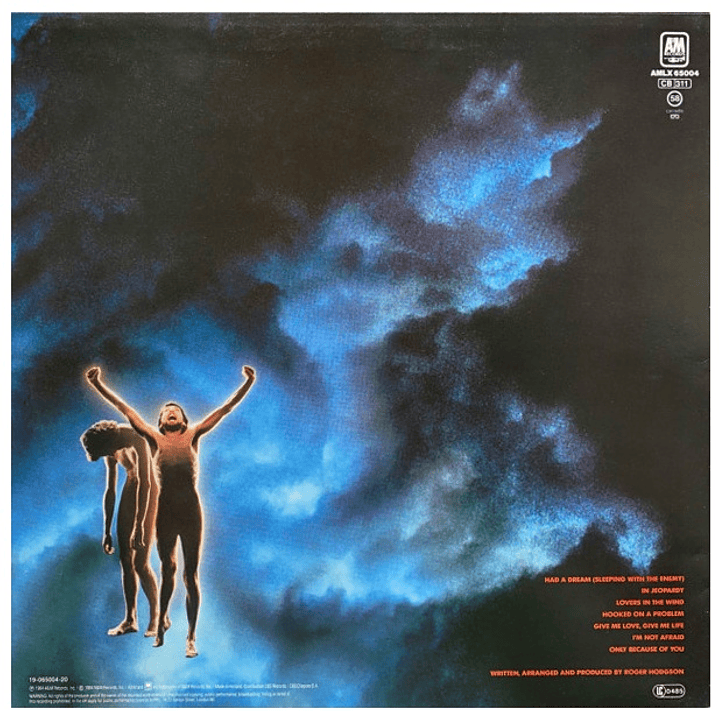 ROGER HODGSON - IN THE EYE OF THE STORM / VINILO USADO 2