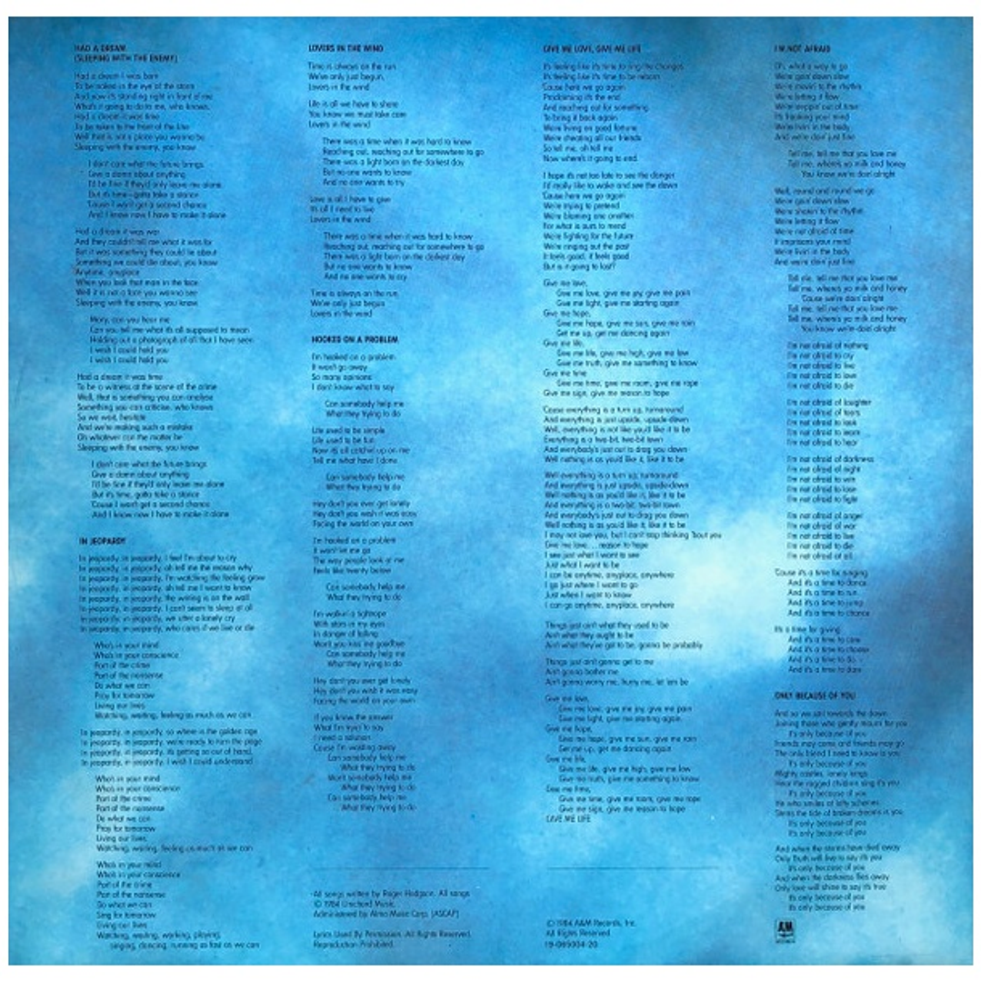 ROGER HODGSON - IN THE EYE OF THE STORM / VINILO USADO 5